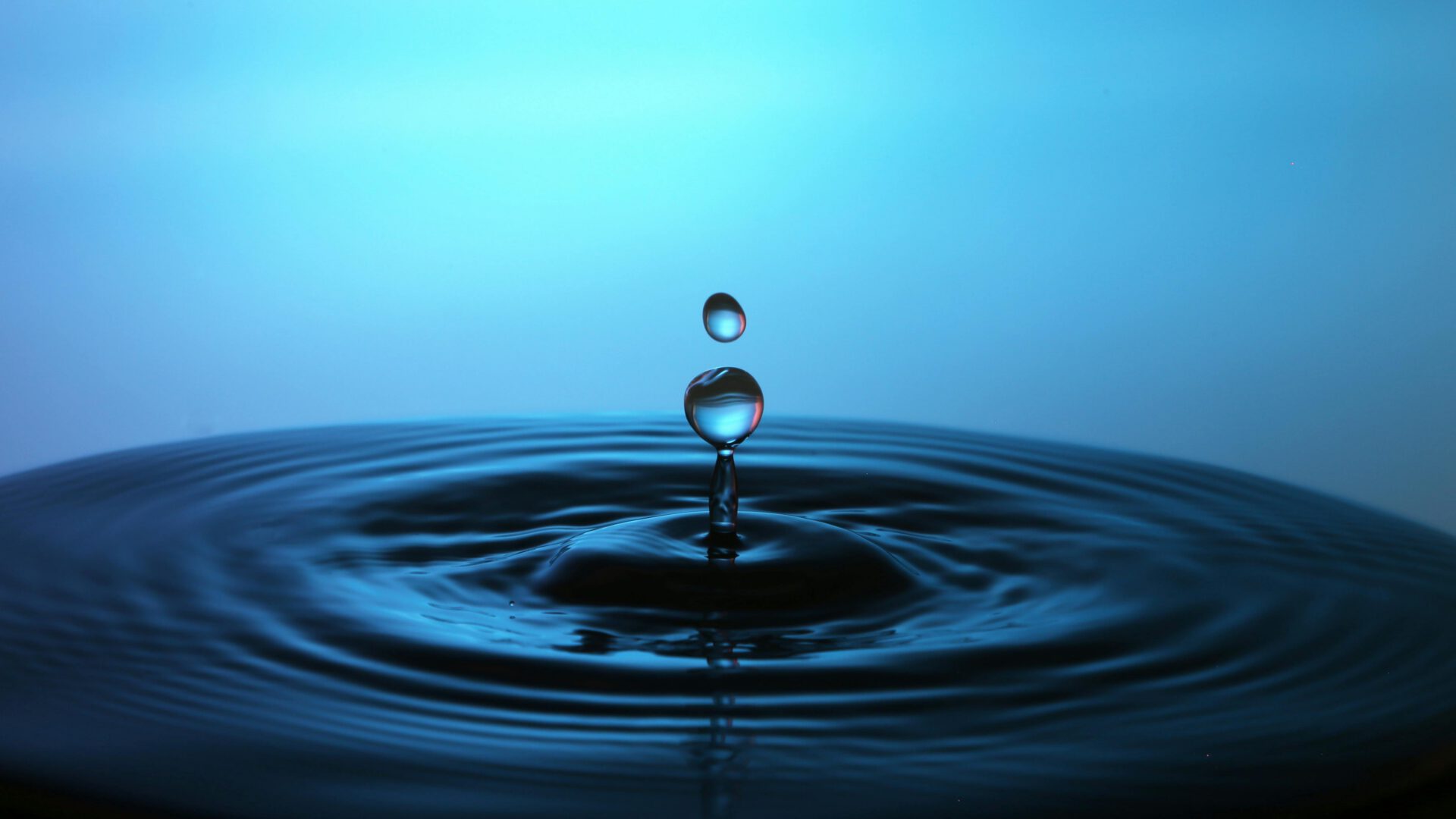 The Immersion Series