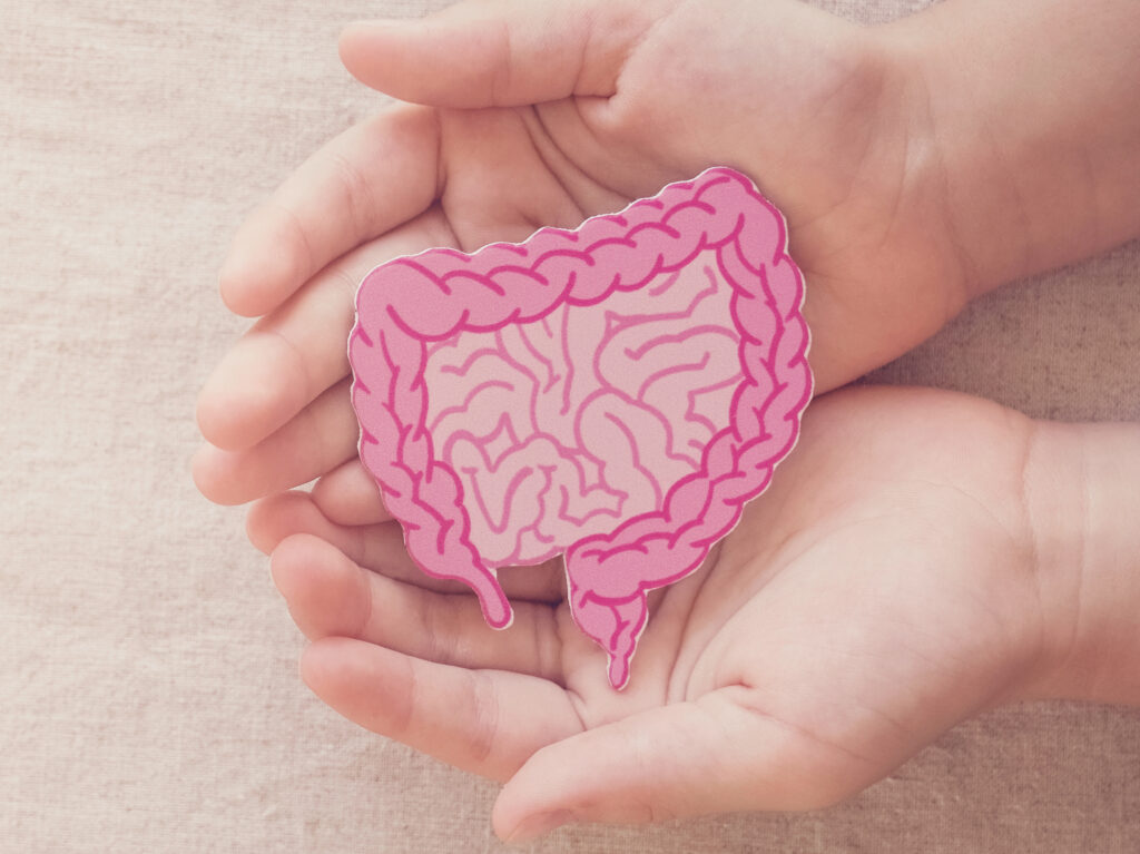 GUT RESET & RECOVERY