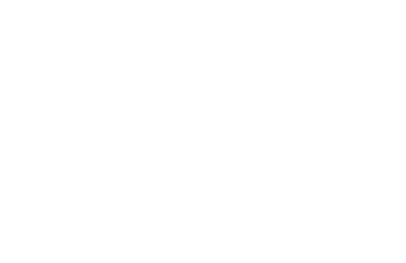 THE LONGEVITY  LOUNGE